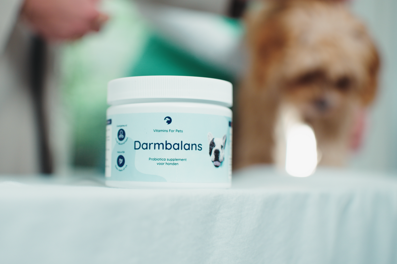 Bijwerkingen van probiotica voor honden