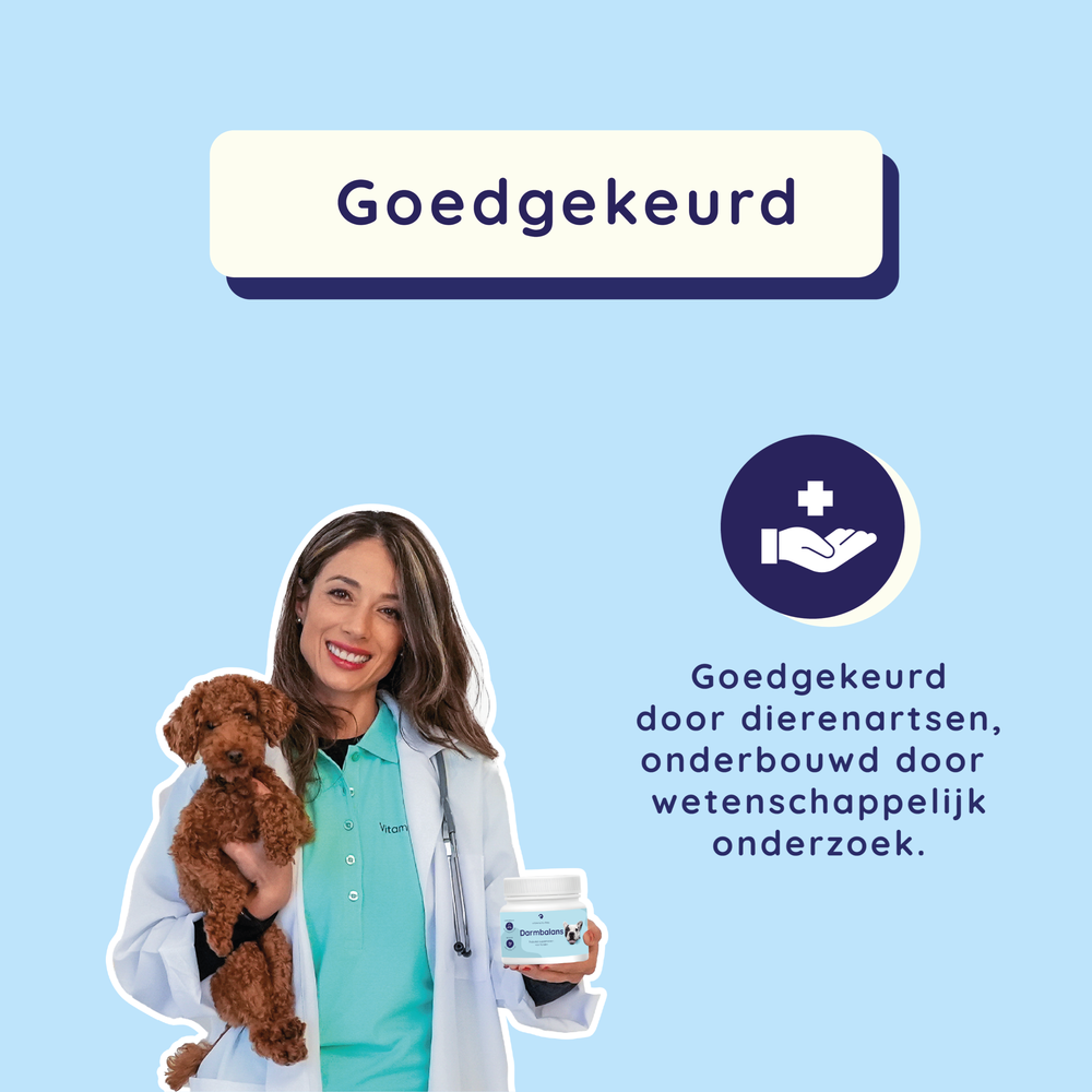 Probiotica voor Honden (60 chews)